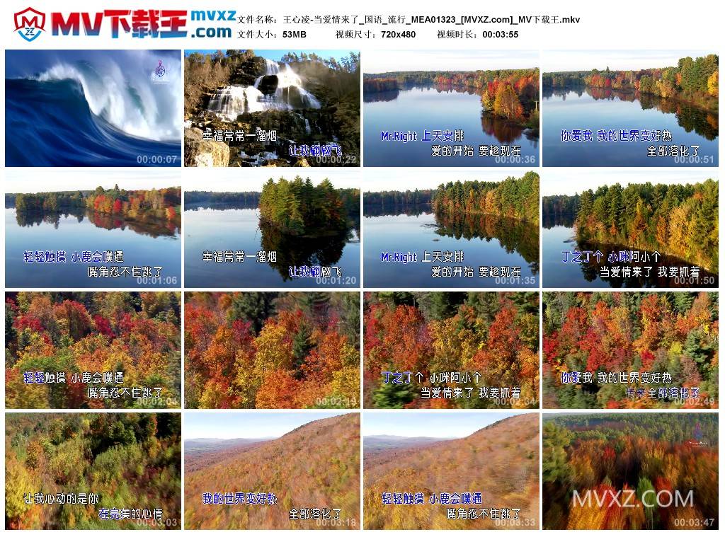 王心凌-当爱情来了_国语_流行_MEA01323